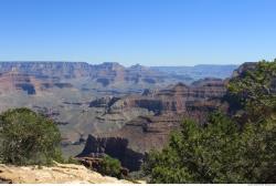 Photo References of Background Grand Canyon